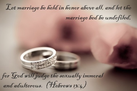 Husband S Large Penis The Bible And Sex Before Marriage