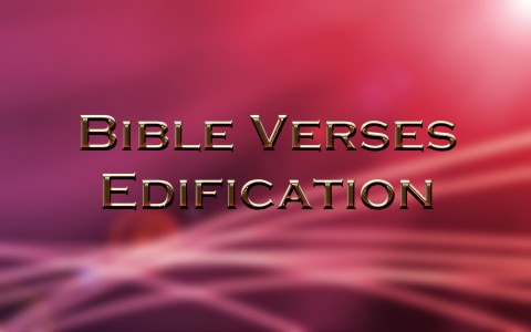 Top 8 Bible Verses About Edification
