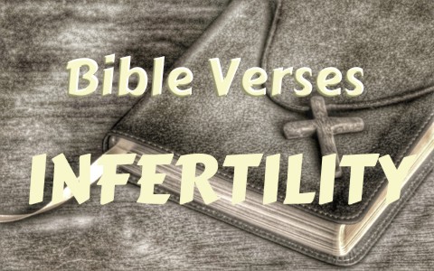 in tamil faith verses bible about Bible Verses With Struggling To Comfort Infertility Top When 7