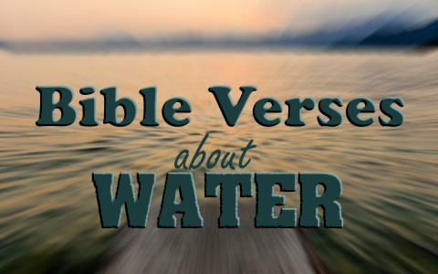 7 Bible Verses About Water With Commentary