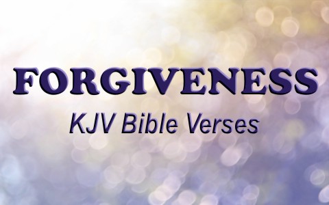 bible verse about forgiveness light heart