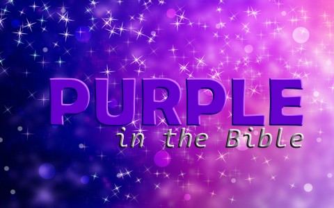 purple bible color does represent when anything used references