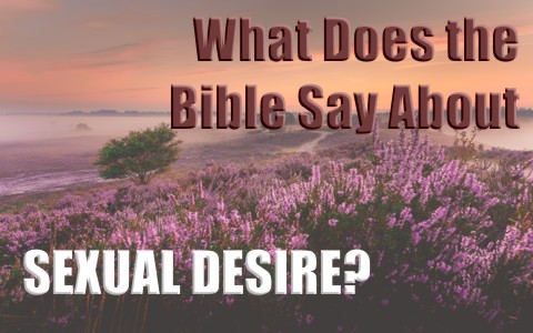 What Does The Bible Say About Sexual Immorality 84