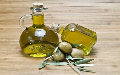 What Does The Olive Tree or Olive Branch Symbolize In The ...